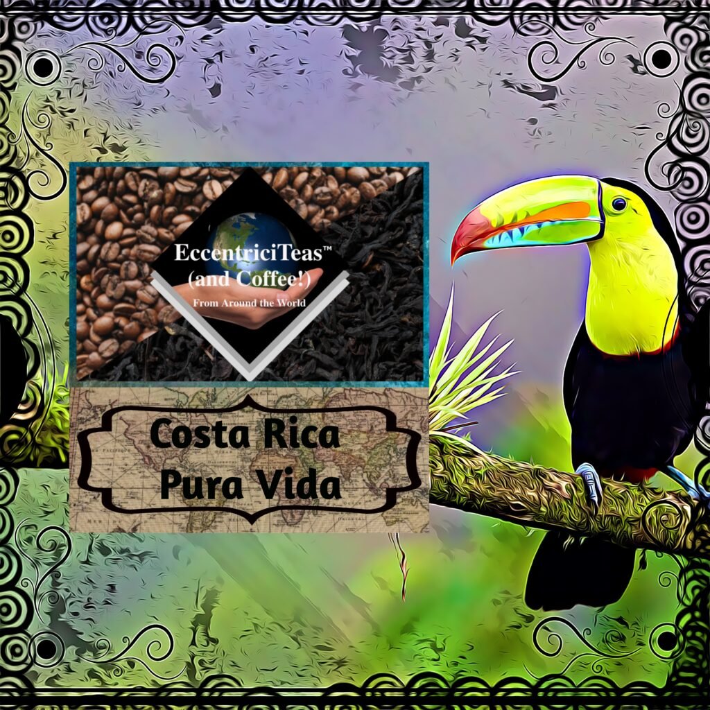 Costa Rican Pura Vida - Eccentriciteas